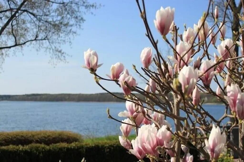 Fewo In Villa Mit Seeblick Plau am See Exterior foto
